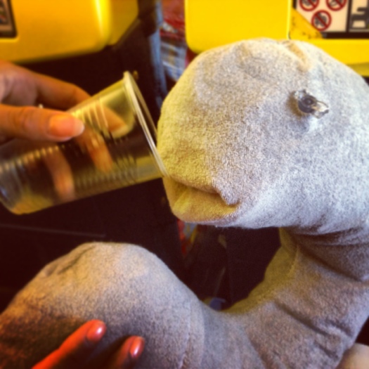 20130609-154927.jpg
